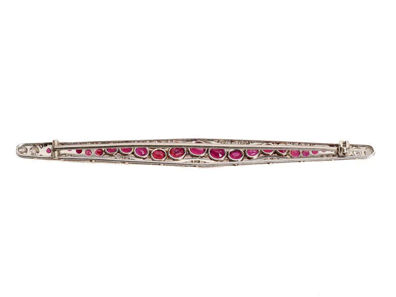 Sinuous Sensuous Ruby Diamond Snake Brooch