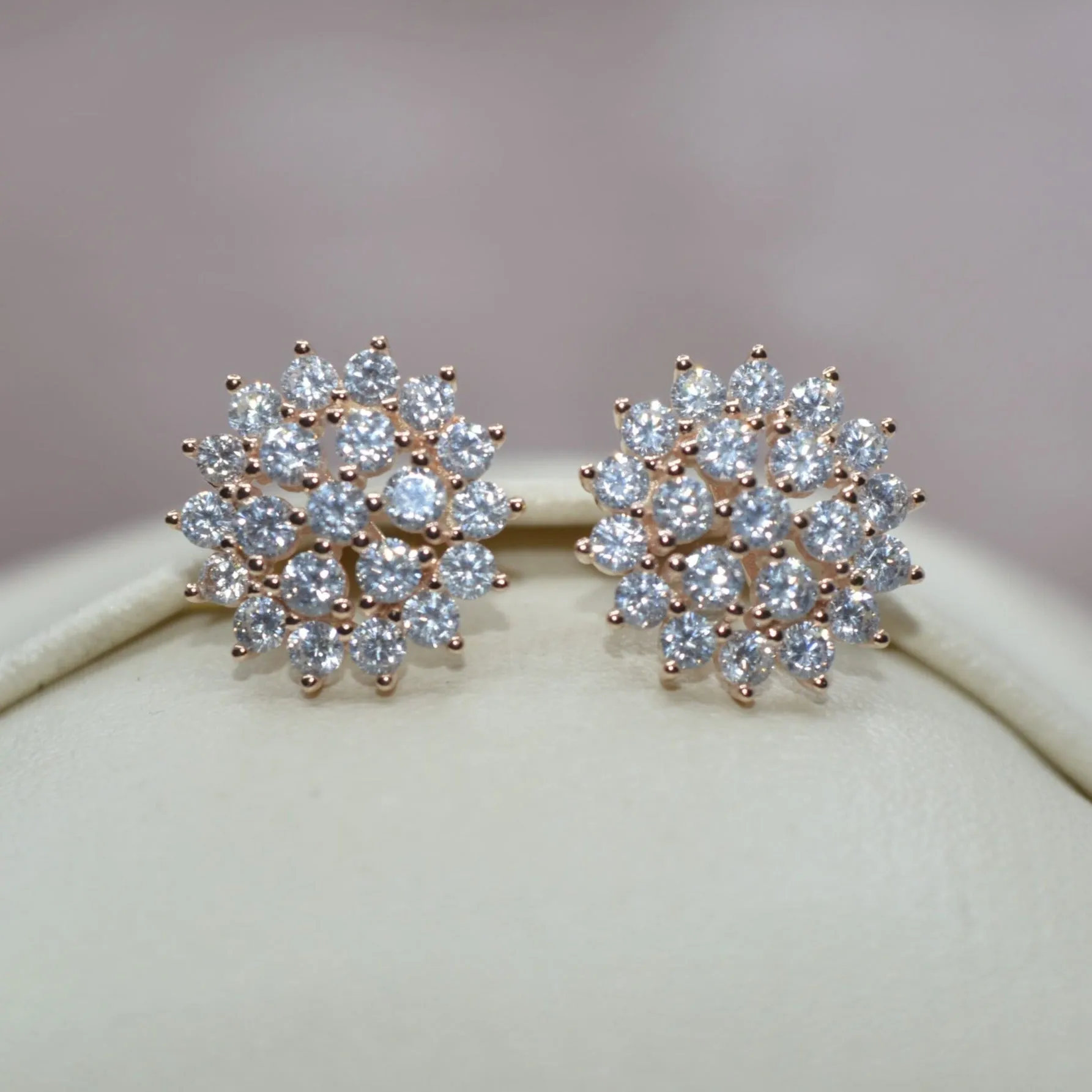 Timeless Elegance Earrings